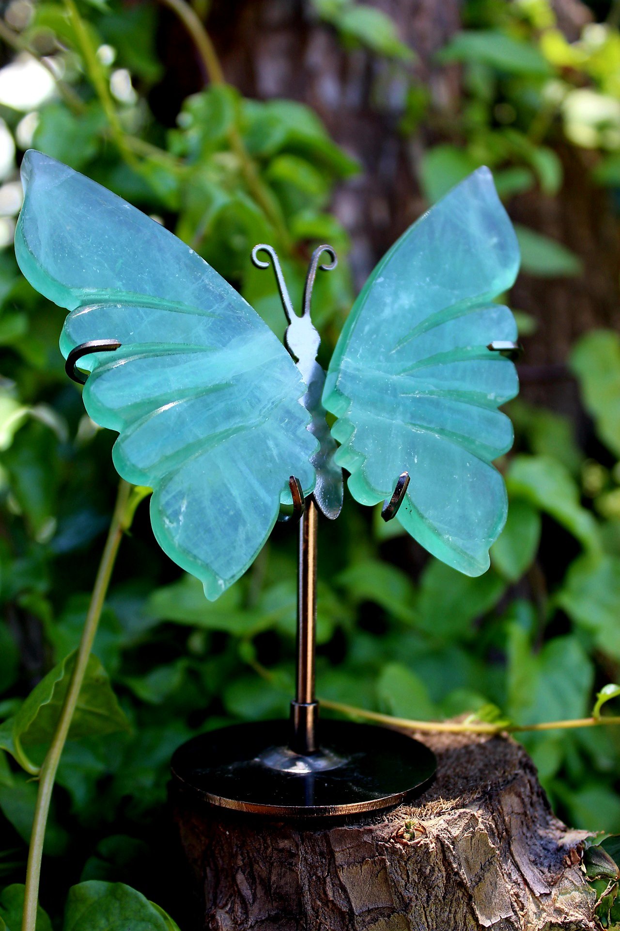 Aventurine Butterfly Wings on Stand