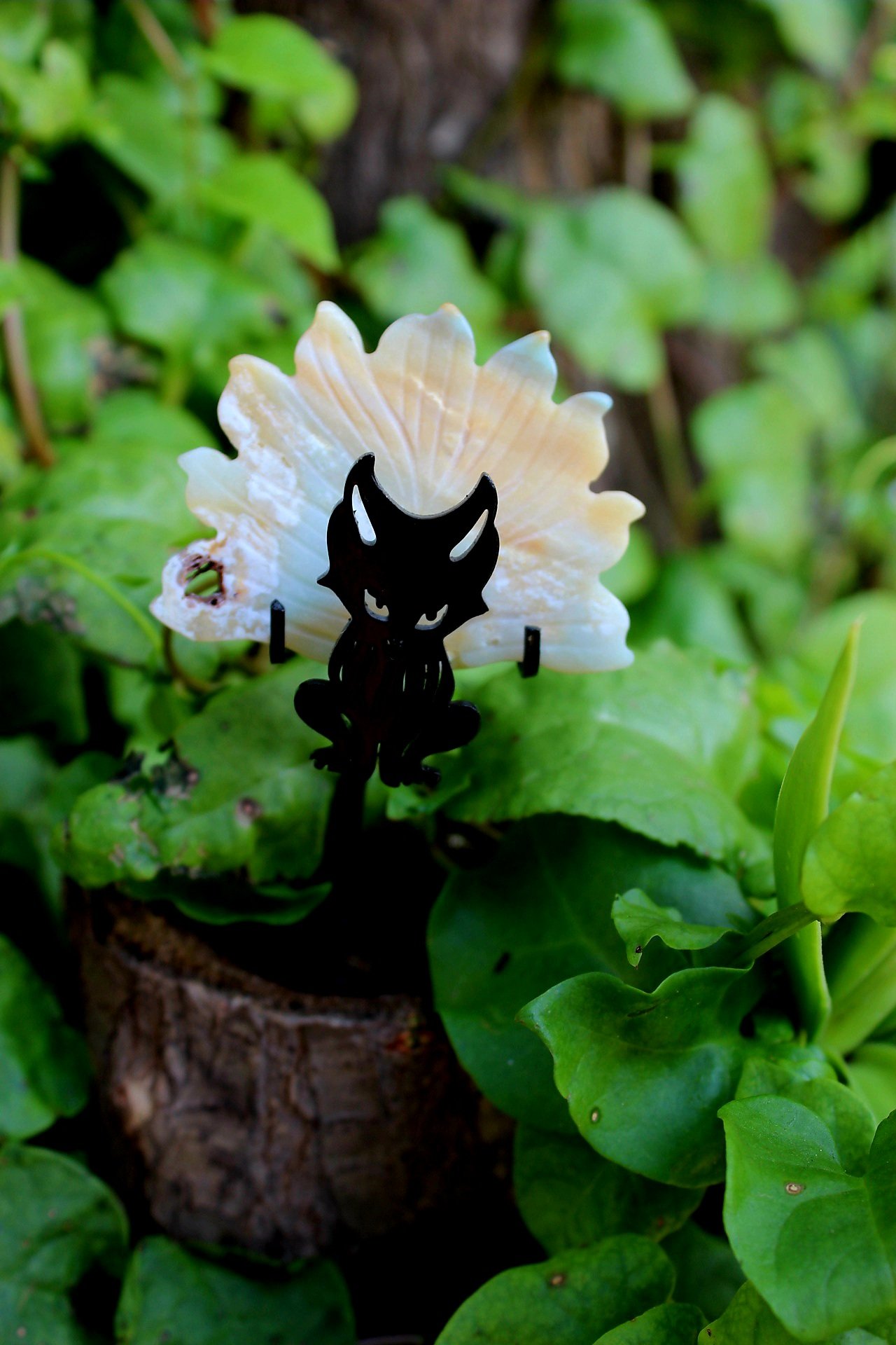 9 Tail Agate Fox