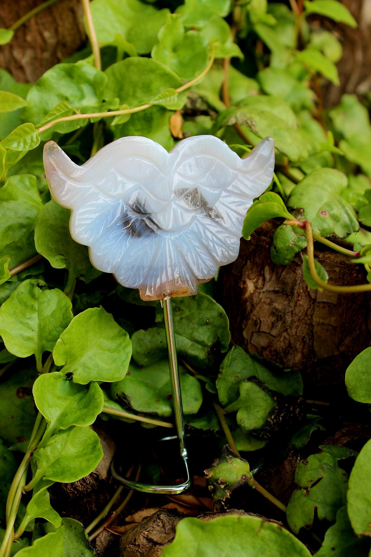 Agate Druzy Angel Wings