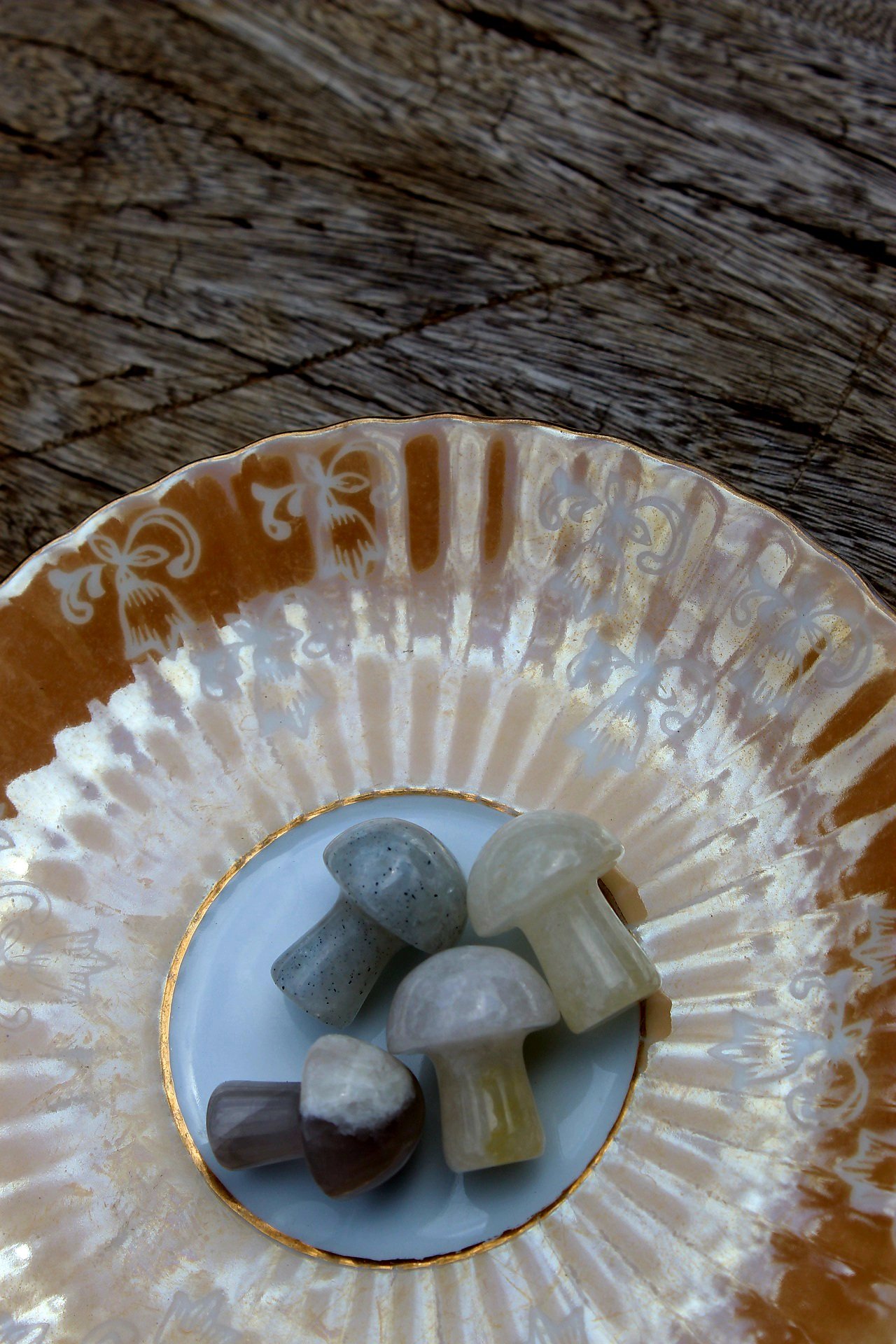 Assorted Mini Mushrooms - Image 3
