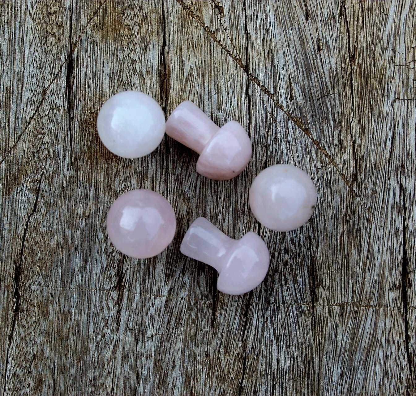 Assorted Mini Mushrooms - Image 2
