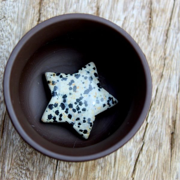 Dalmatian Jasper Star