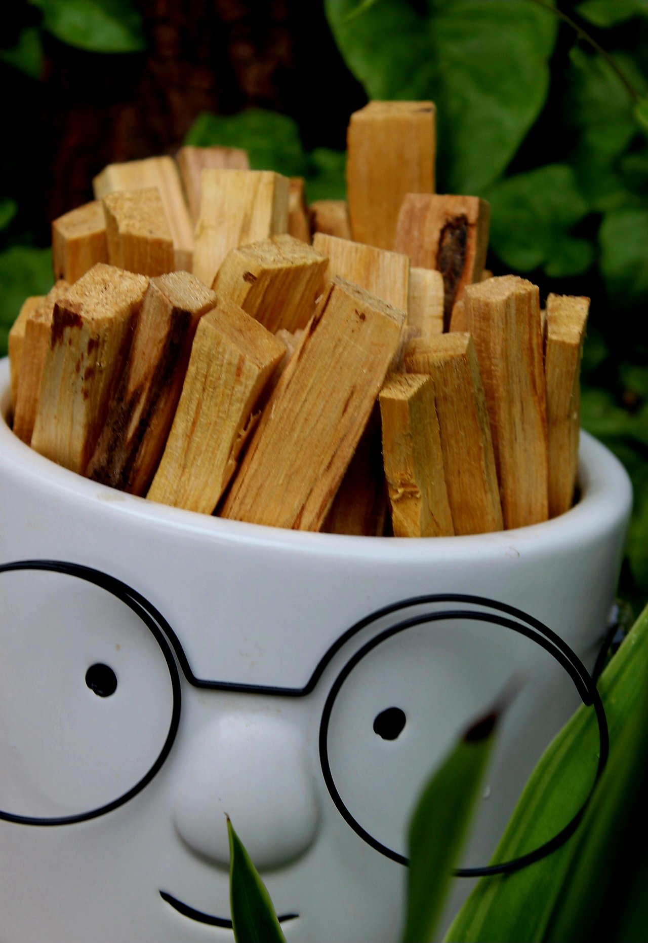 Sacred Palo Santo - Image 2