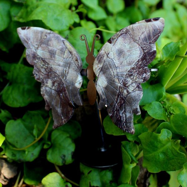 Petrified Fossil Wood Butterfly