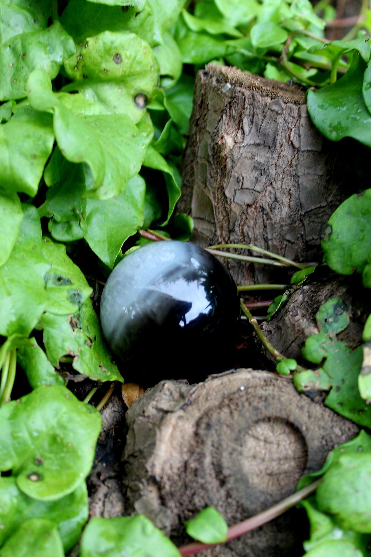 Black agate Sphere
