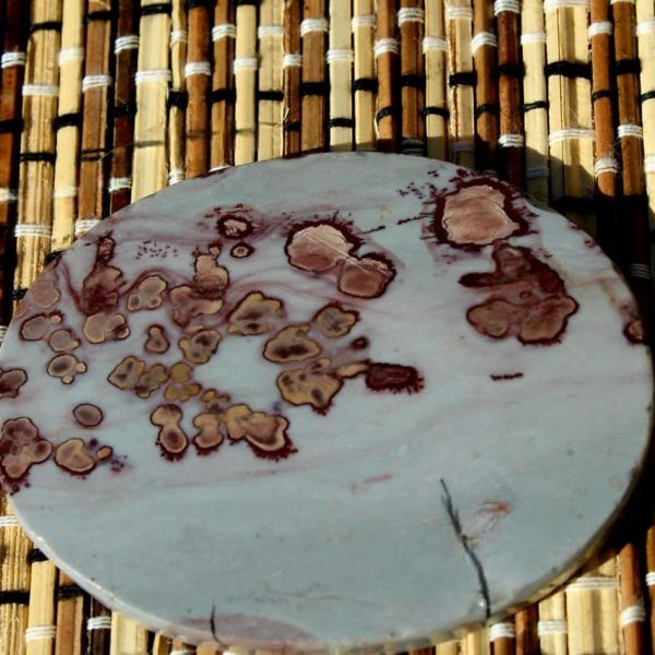 Dendrite Jasper Slice