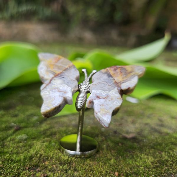 Crazy Lace Agate mini Butterfly
