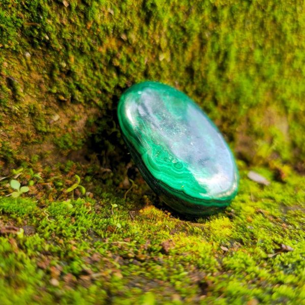 Malachite Palm Stone 1