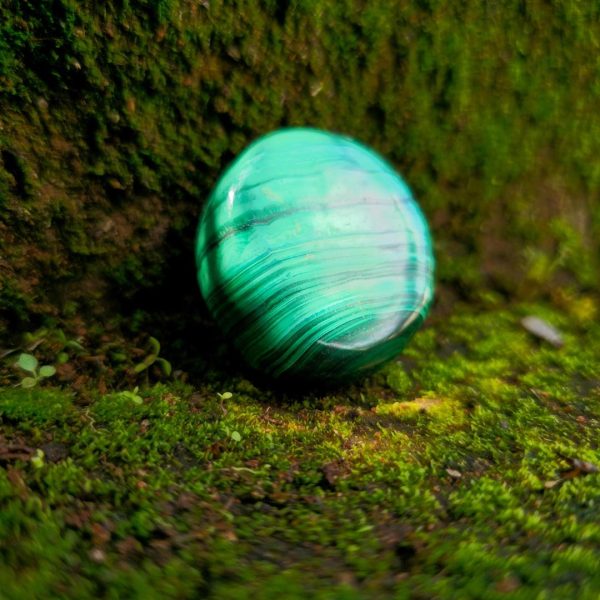 Malachite Palm Stone 2
