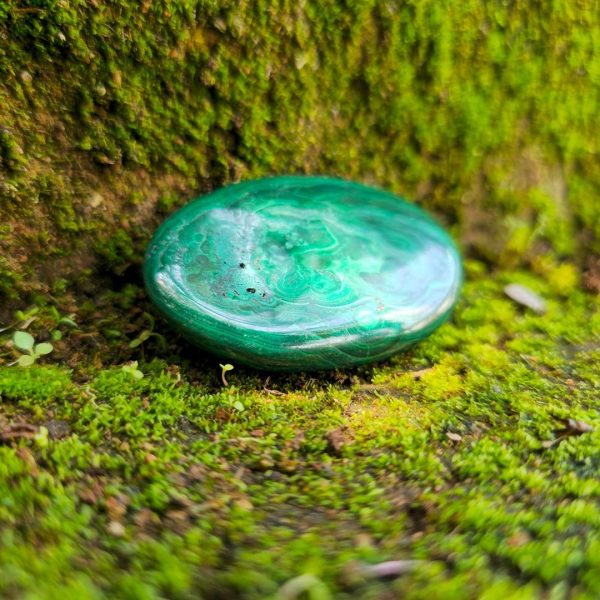 Malachite Palm Stone 5