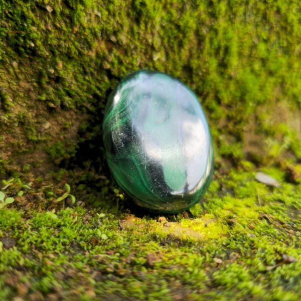 Malachite Palm Stone 4
