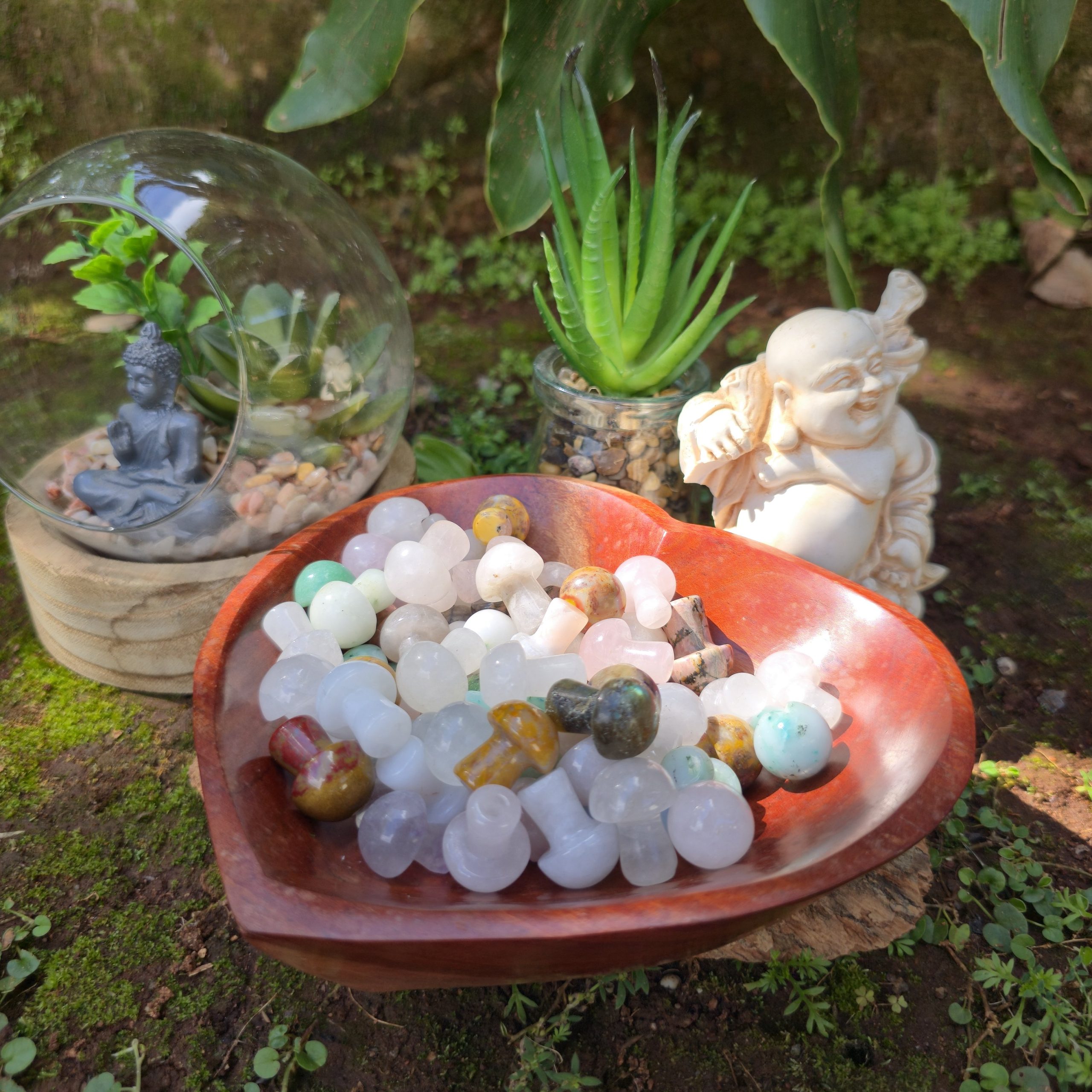 Assorted Mini Mushrooms - Image 6