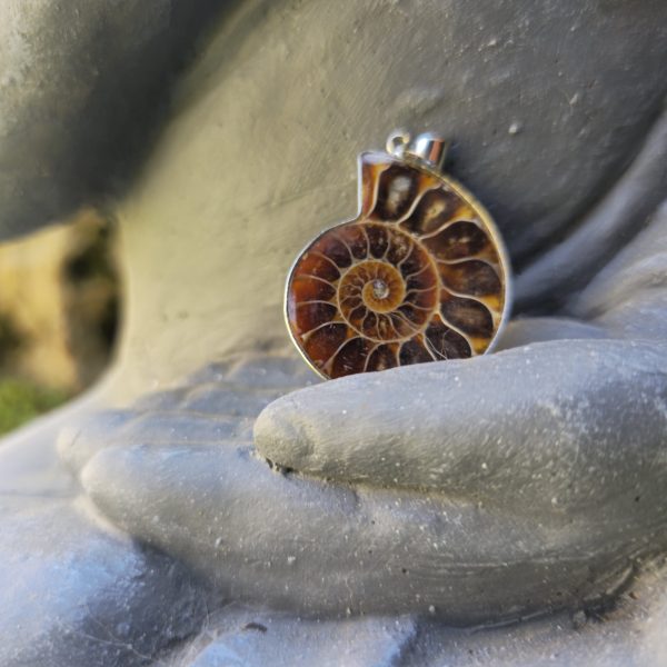 Ammonite Pendant & Chain