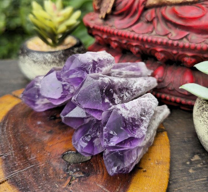 Bahia Amethyst Dragon’s Tooth