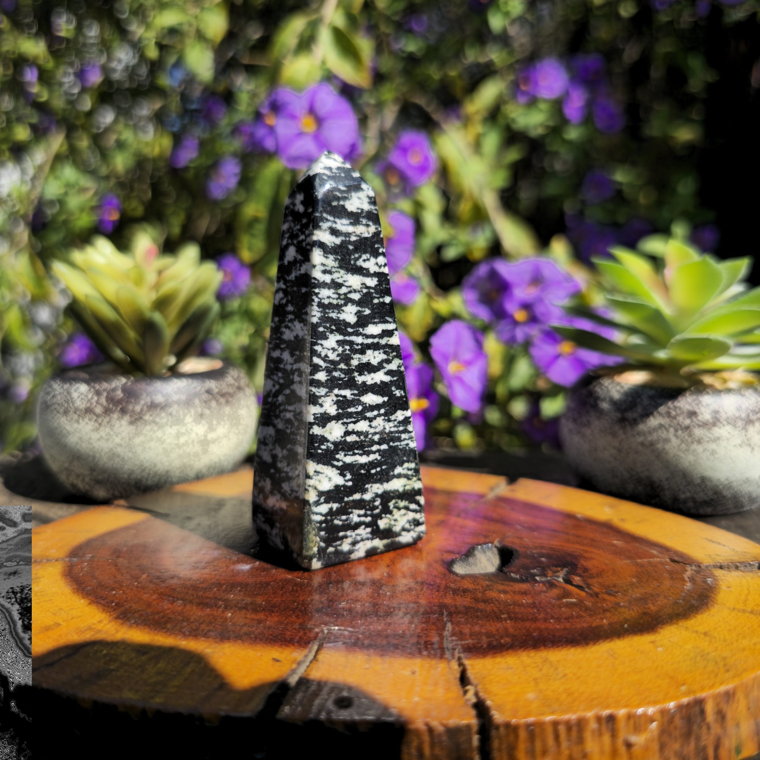 Zebra Jasper Tower