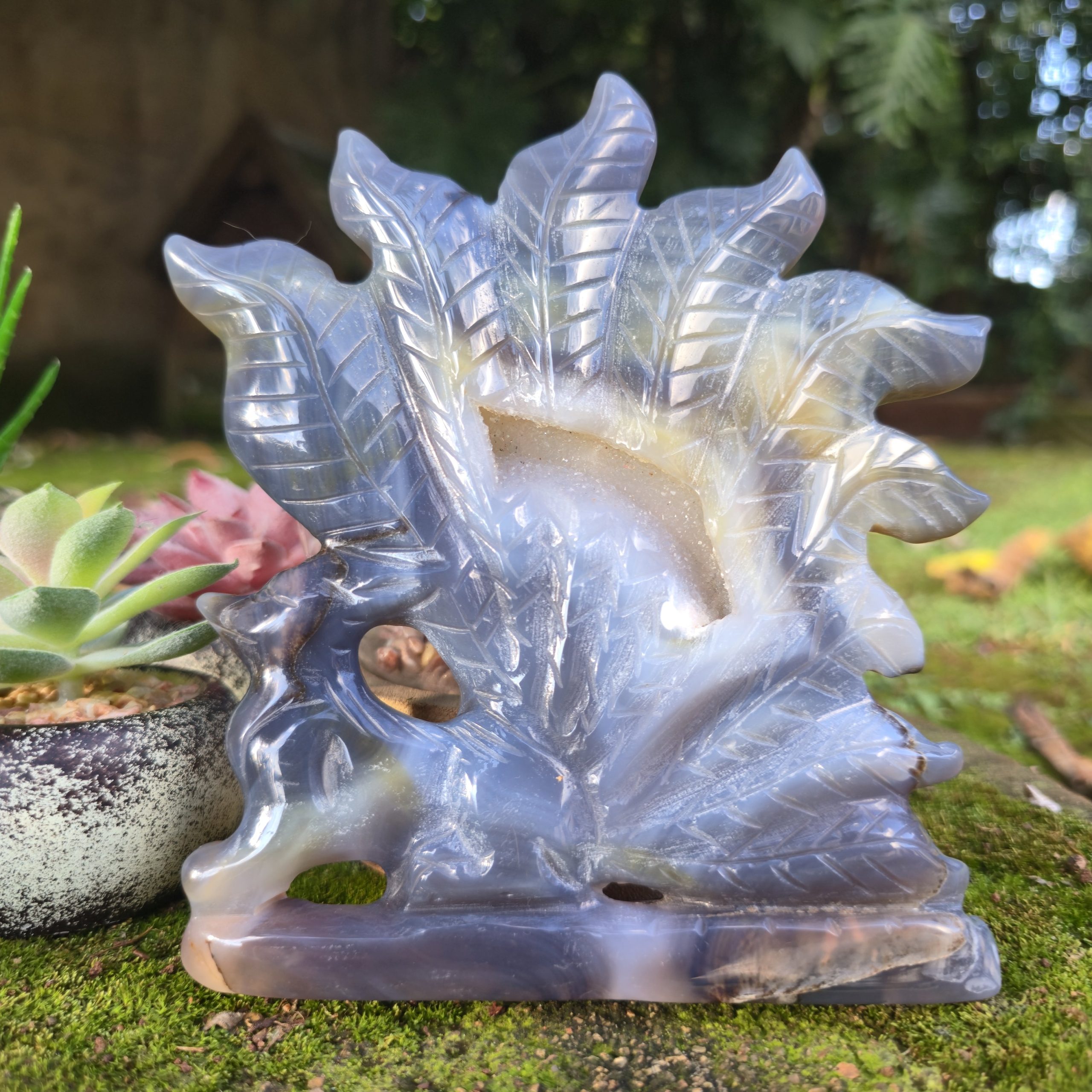 Agate Druzy 9 Tail Fox - Image 2